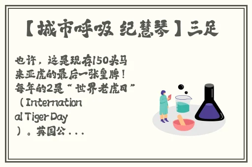 中国东方XXXXXLmedjyfBD